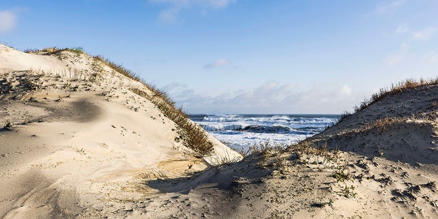 Dunes and ocean at Cape Hatteras National Seashore