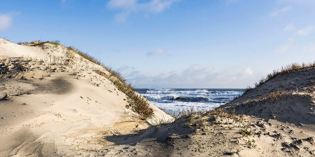 Dunes and ocean at Cape Hatteras National Seashore