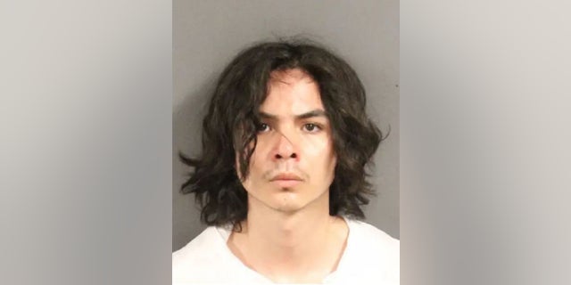 Davis stabbing suspect