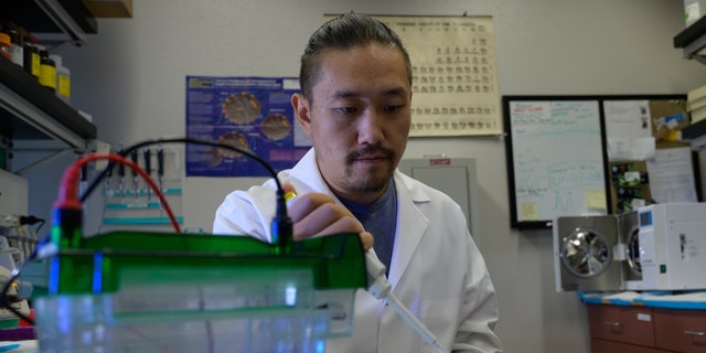 Rui Chang in the lab