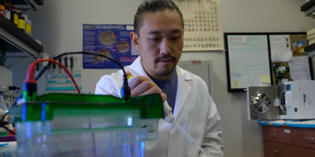 Rui Chang in the lab