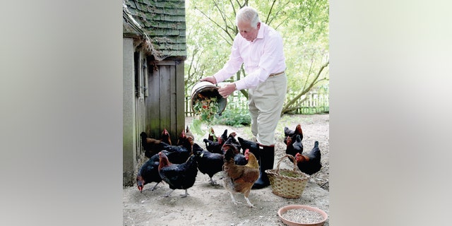 King Charles in a light pink shirt and beige pants with boots feeding his chicken