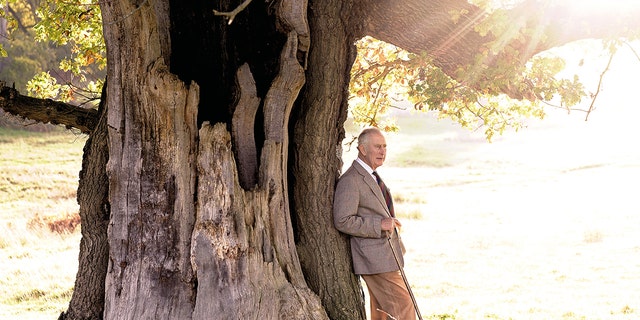 King Charles in an earth-toned suit leaning next to a tree
