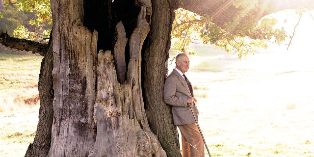 King Charles in an earth-toned suit leaning next to a tree