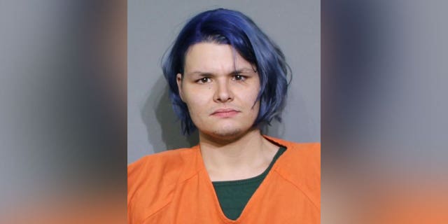 David Joseph Dalesandro mugshot