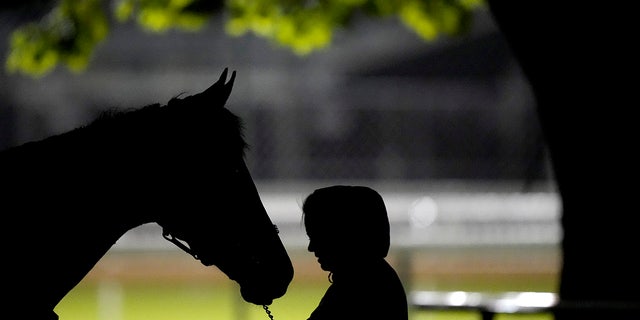 A trainer at Churchill Downs