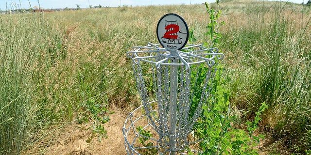 A disc golf basket