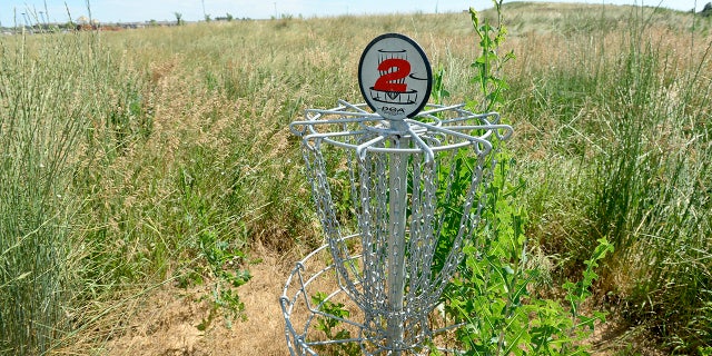 A disc golf basket