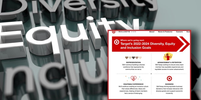 Target's diversity equity and inclusion plan.