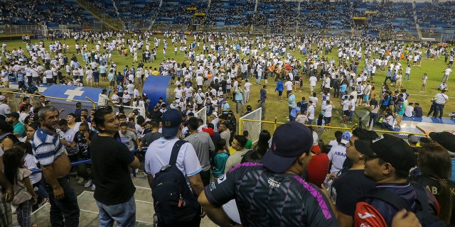 fans at the stadium after the stampede