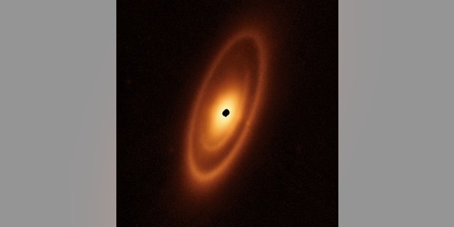 The dusty debris disk surrounding the young star