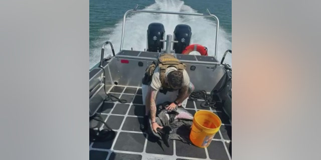deputy holding dolphin calf on boat