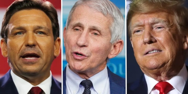 Ron DeSantis, Anthony Fauci, and Donald Trump