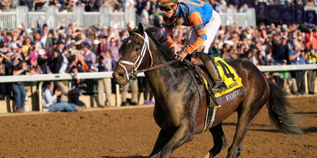 Forte at the Breeders' Cup