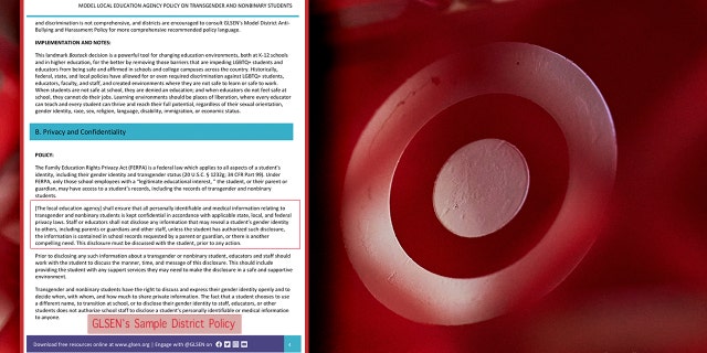 GLSEN Target partnership