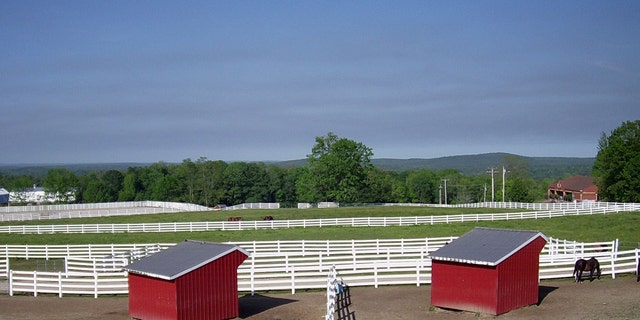 A Gray farm