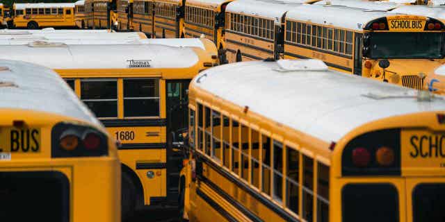 School buses sit parked at a lot in Marietta, Georgi