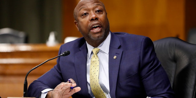 Sen.  Scott at a committee hearing