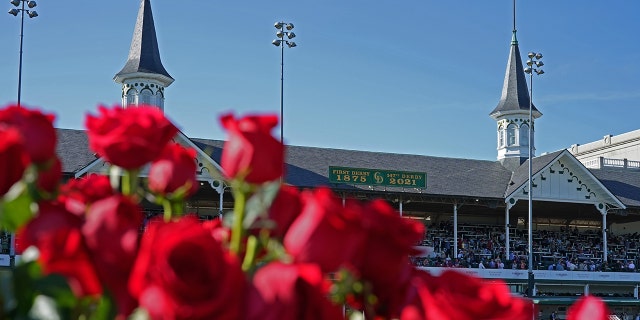 Roses and twin spires