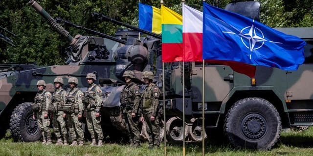 Polandia di NATO