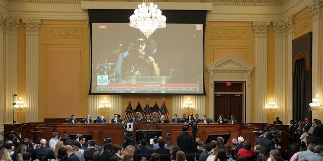 ستيوارت رودس شوهد على الشاشة خلال جلسة 6 يناير في مجلس النواب