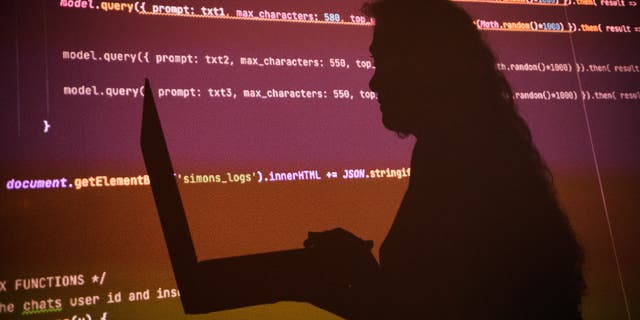 Uruguyan developer Tammara Leites's shadow is seen on a screen of AI-generated text.