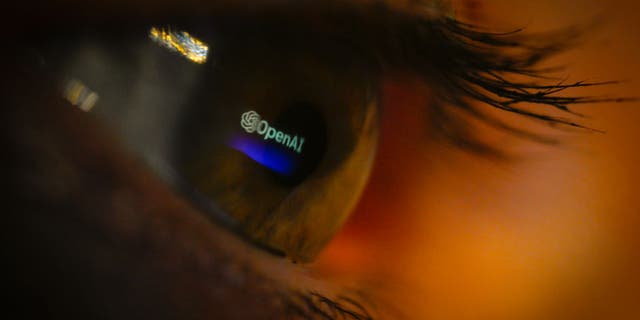 An image of a person's eye looking at Open AI