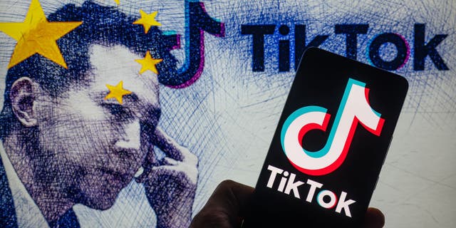 TikTok ban