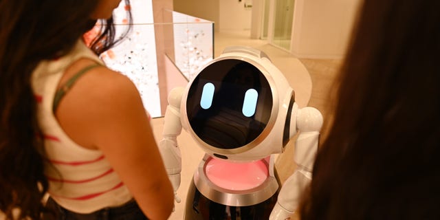 UBTech Robotics Ltd.'s 'Cruzr social robot' assists a bank transaction in Portugal.