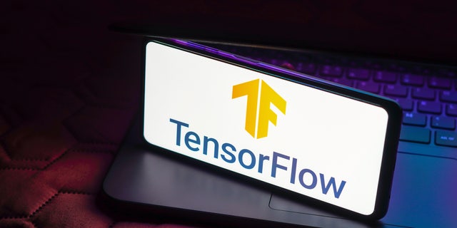 Dewey dijo que usó la herramienta de inteligencia artificial TensorFlow, creada por Google, con fines comerciales.