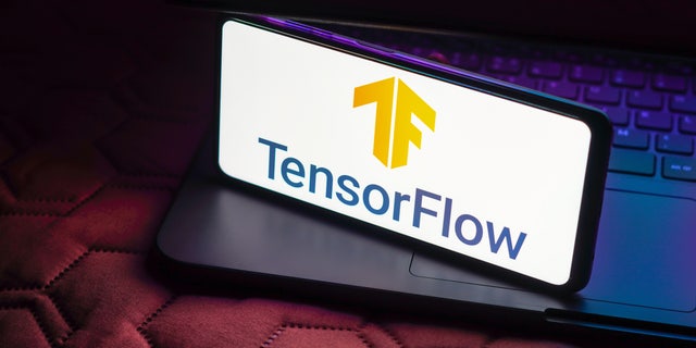 Dewey said he used the AI tool TensorFlow, produced by Google, for work purposes.