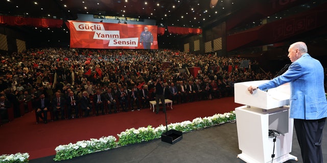 Erdogan's election rally