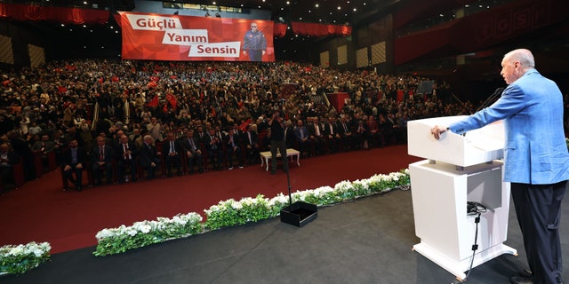 Erdogan's election rally