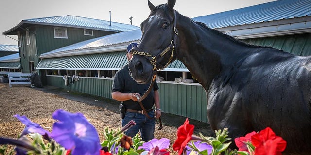 First Mission ahead the Preakness