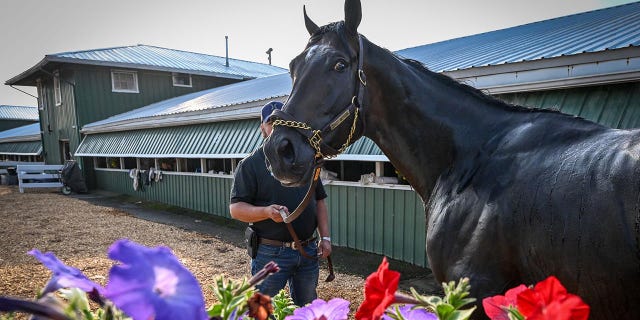 First Mission ahead the Preakness