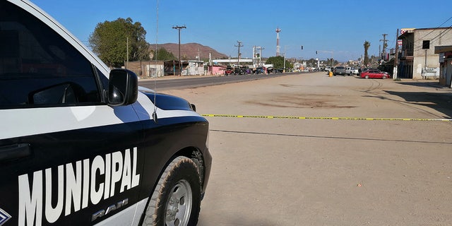 Mexican police at the scene of the shooting in Baja California