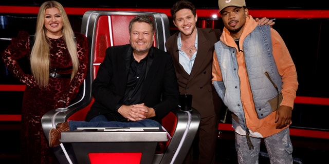 The Voice judges and coaches