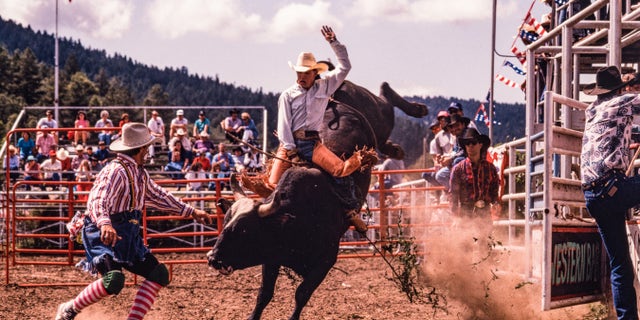 Rodeo New Mexico