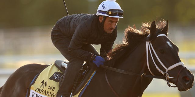 First Mission during a training session ahead Preakness