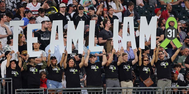 The White Sox crowd holds a Liam Hendriks sign