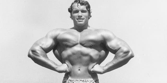 Arnold Schwarzenegger as a young bodybuilder