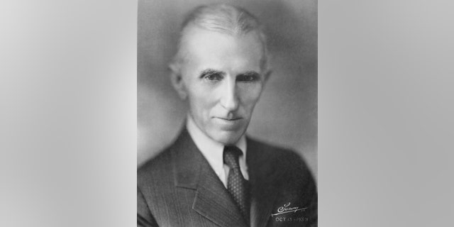 Nikola Tesla'nın Portresi