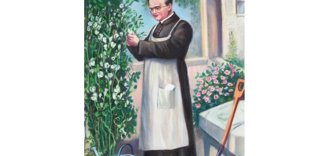 Scientist Gregor Mendel