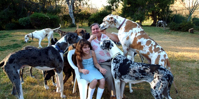 Burt Ward con su hija rodeado de grandes daneses afuera