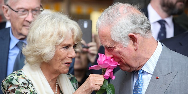 Queen Camilla in a green and white dress holding a pink nose to King Charles nose