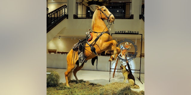 La métamorphose hollywoodienne "étrange" de Roy Rogers a laissé les fans occidentaux stupéfaits, selon sa petite-fille 10 Déclenche le cheval monté à côté de Bullet le chien