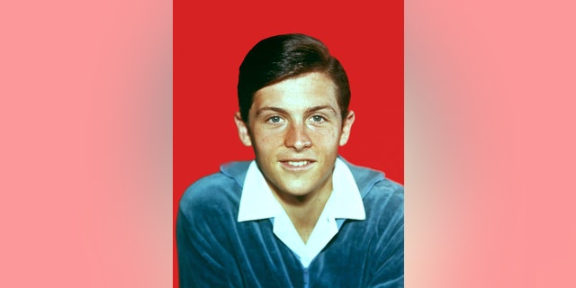 A close-up of Burt Ward in a blue sweater with a popped out white collar
