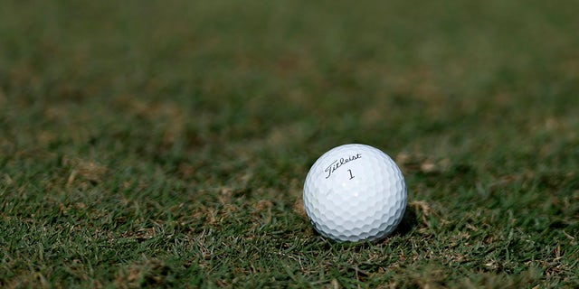 Vista general de una pelota de golf