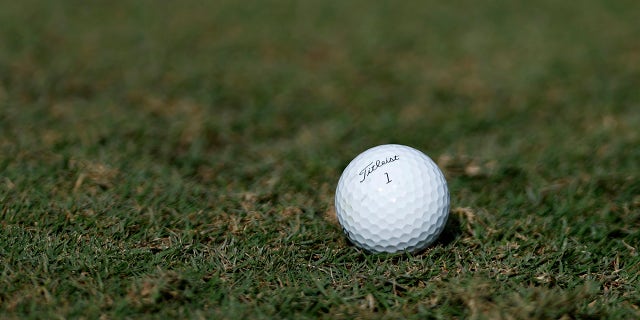 Vista general de una pelota de golf