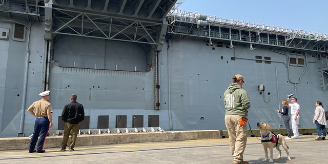 uss wasp dog ike pier 88 